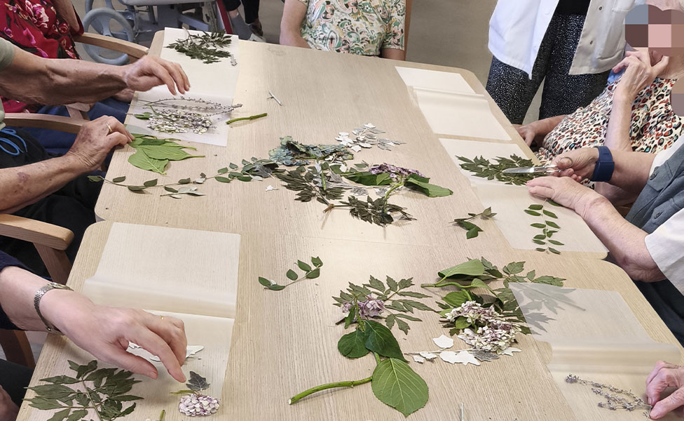 Atelier végétal MAS Laurence Lacombe