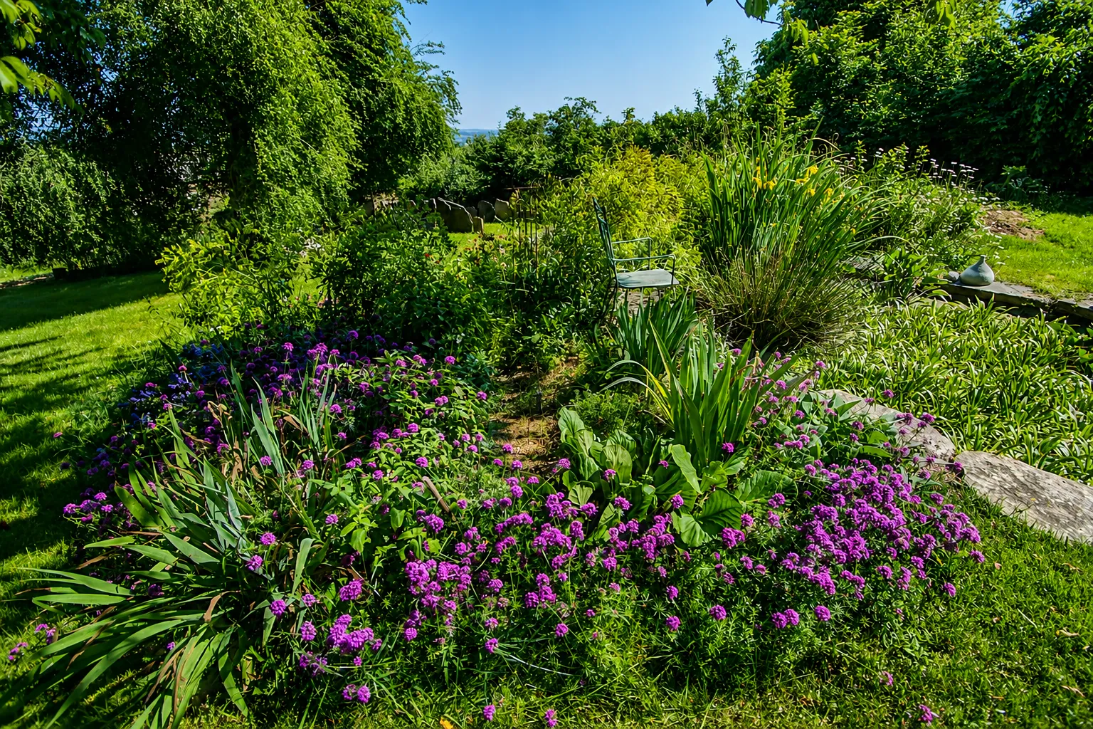 Bassin fleuri du jardin de la Nauze