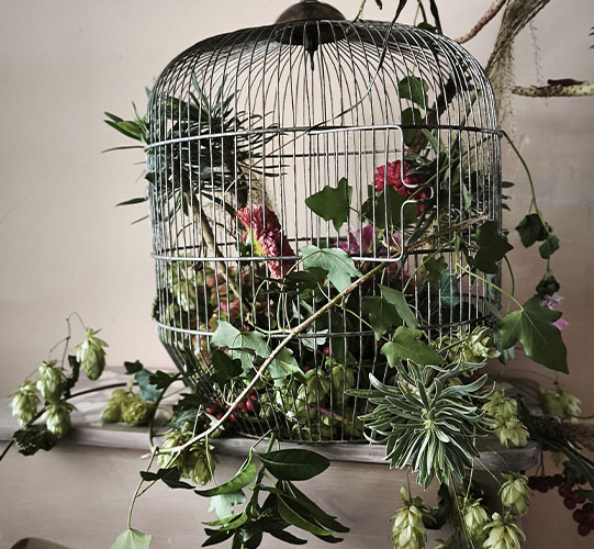Cage-fleurie-Atelier-boutique-Noyes
