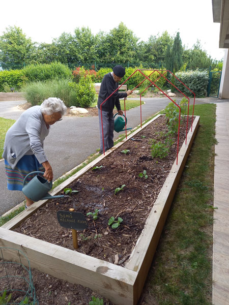 Jardinage-Laurence-Lacombe-Fleurs