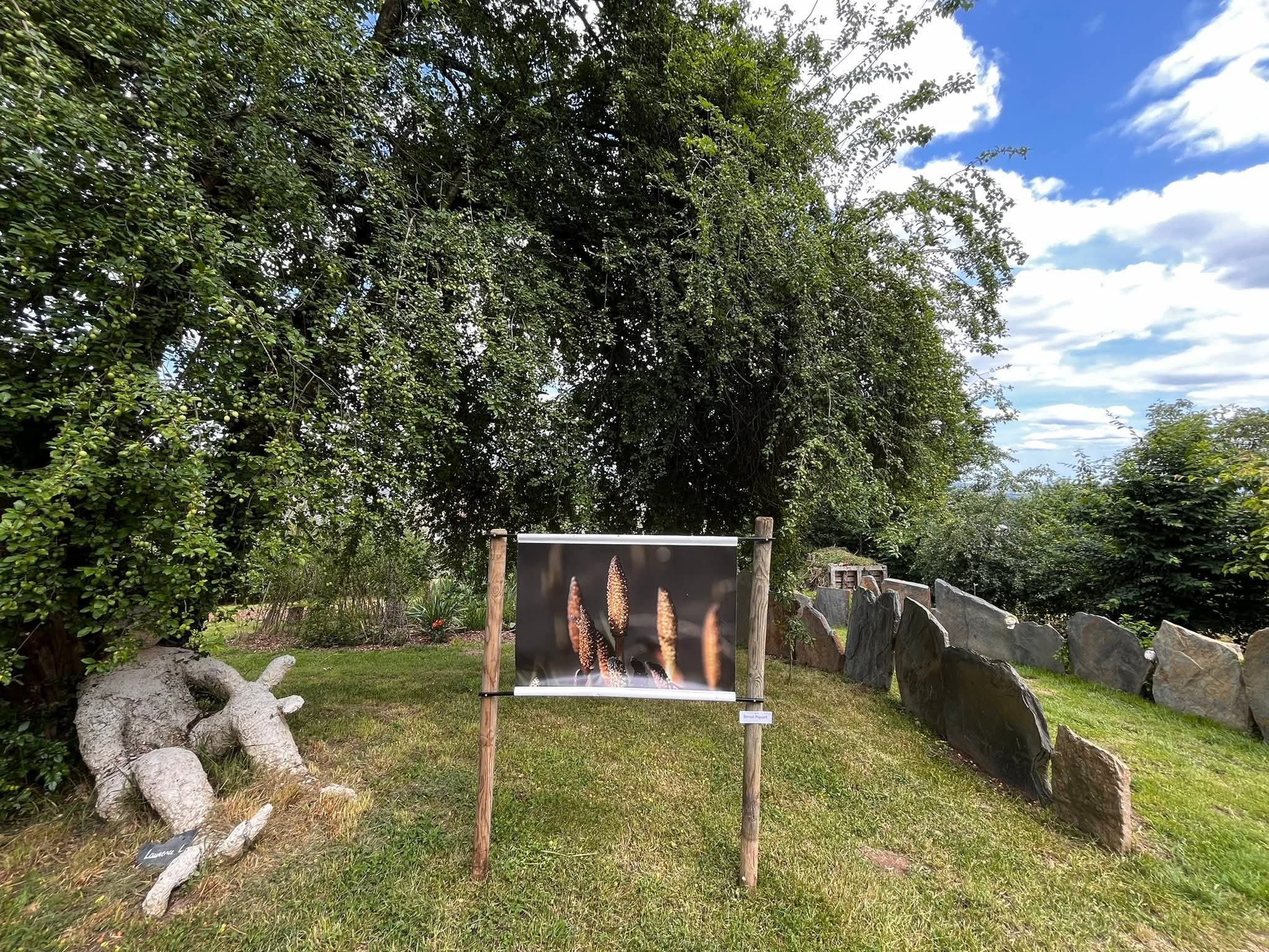 Sculpture et photographie au jardin de la Nauze