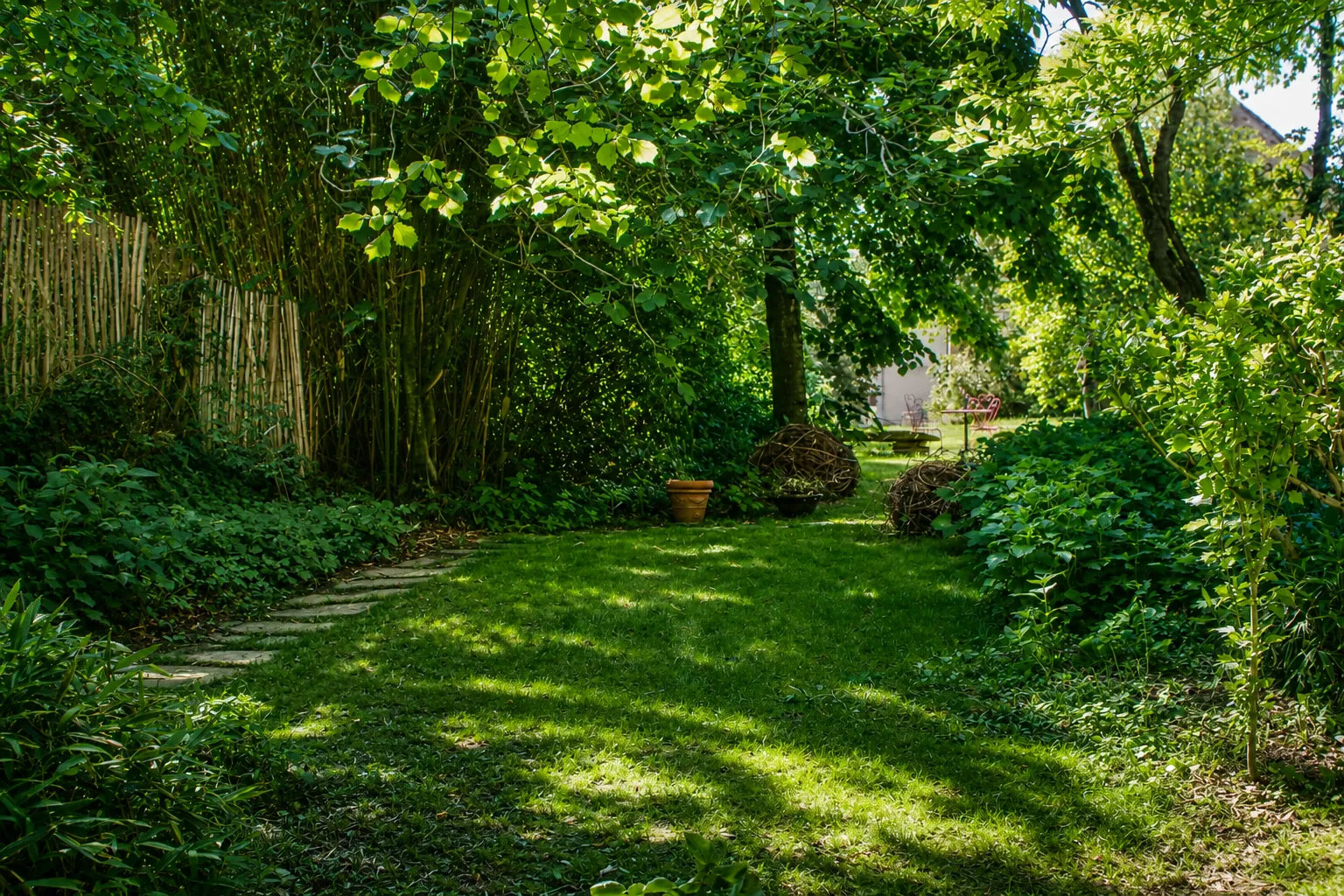 chemin-jardin-botanique