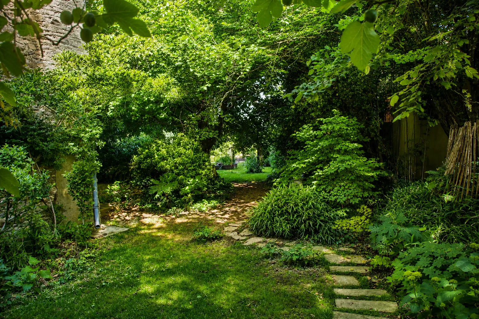 sous-bois du jardin de la Nauze